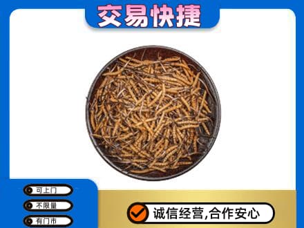 耀州区高价回收散虫草